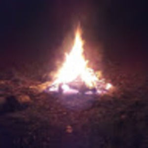 Meet your Posher, Wayne